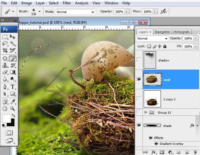 hippo, photoshop, nest, egg, shell, flying hippo, cute, baby, wings, hippopotamus, feathers